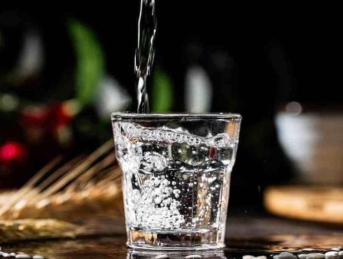 酒桌上備受歡迎的三款中檔糧食酒，約60元價(jià)位，口感回味無窮