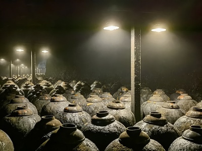 傳統(tǒng)白酒釀酒微生物的基本特征與作用